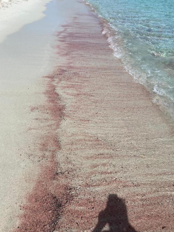 Le Cocon Bord De Mer ベルゴデール エクステリア 写真